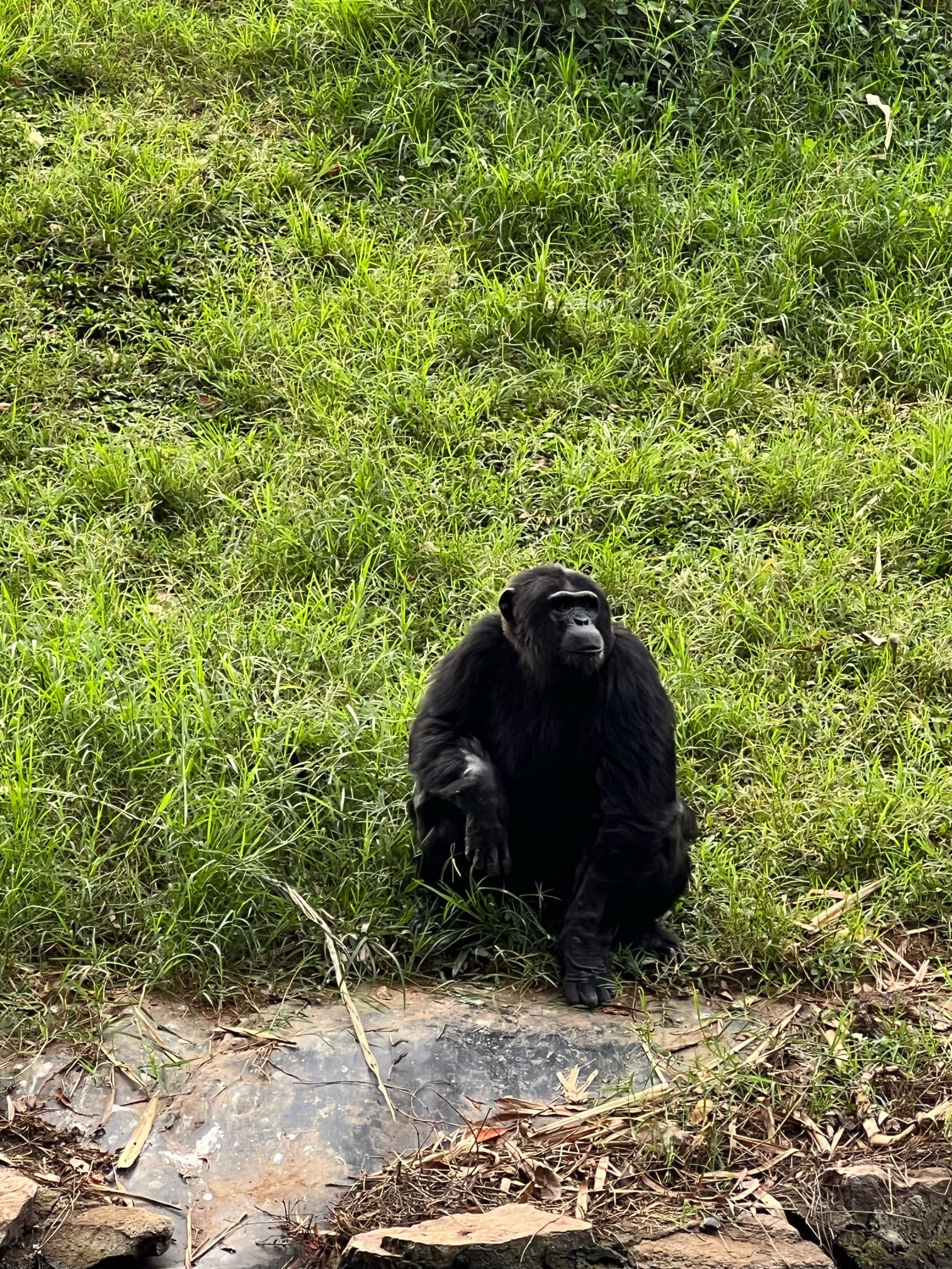 Game Drive